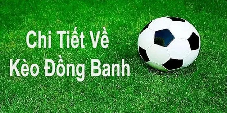 Bí Quyết Nắm Bắt Cách Chơi Kèo Đồng Banh Hiệu Quả Nhất Hiện Nay