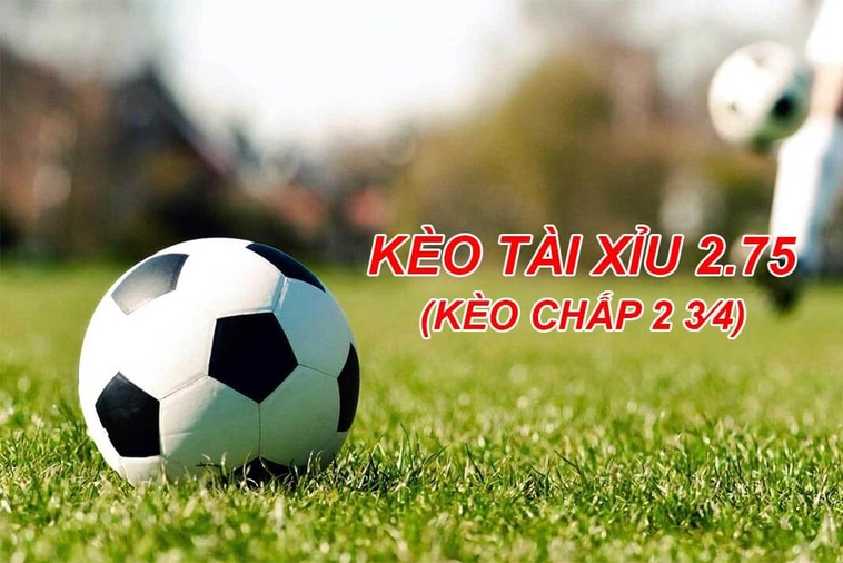 Hướng Dẫn Cách Chơi Kèo 2.75 Trong Các Trận Cầu Đỉnh Cao