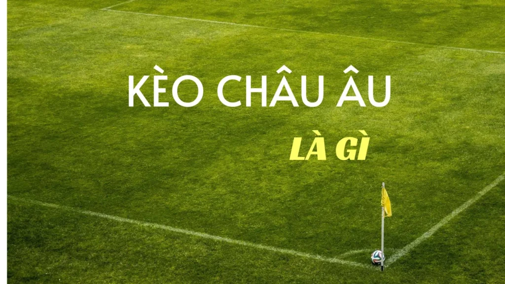Hướng Dẫn Chi Tiết Cách Chơi Kèo Châu Âu Cho Người Mới Bắt Đầu