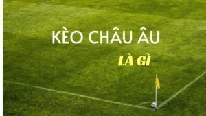 Hướng Dẫn Chi Tiết Cách Chơi Kèo Châu Âu Cho Người Mới Bắt Đầu