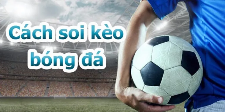 Hướng Dẫn Cách Xem Kèo Bóng Đá Hiệu Quả Cho Người Mới Bắt Đầu