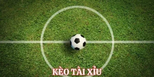 Tìm Hiểu Chi Tiết Cách Chơi Kèo Tài Xỉu Bóng Đá Cho Người Mới