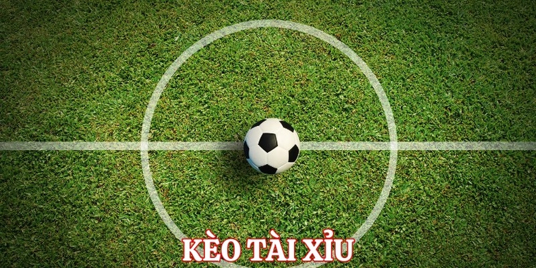 Tìm Hiểu Chi Tiết Cách Chơi Kèo Tài Xỉu Bóng Đá Cho Người Mới