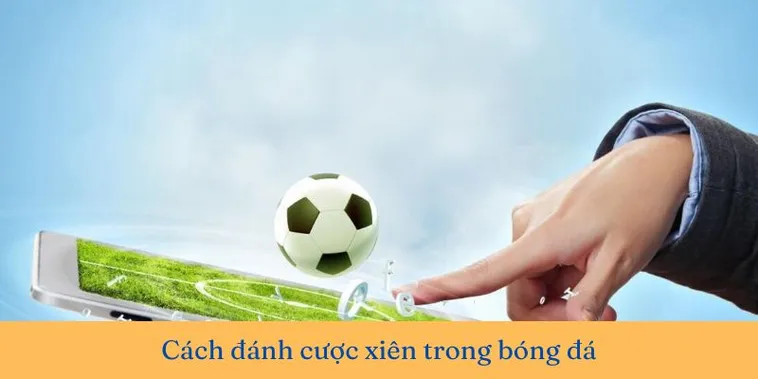 Bí Quyết Cách Chơi Kèo Xiên Trong Bóng Đá Cho Người Mới